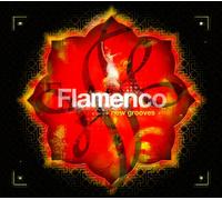 Various - Flamenco New Goove