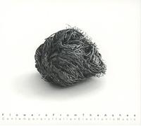 Various - Flowers From The Ashes Contemporary Italian Electronic Music - J3z