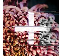 Various - Foreign Exchange Music: The Reworks