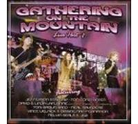 Various - Gathering on ...