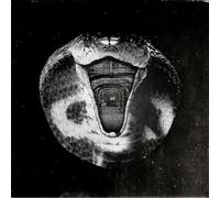Various - Genius Killer [VINYL]