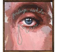 Various - Goodbye / Asshole (Coloured Vinyl) [VINYL]