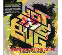 Various - Got the Bug: Bugz In the Attic