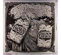 various - holy fuzz LP