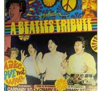 Various Artists - Hooked On A Beatles Tribute / Various