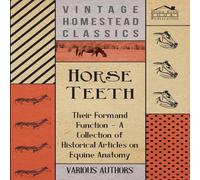 Various Horse Teeth - Their Form & Function - A Collection of Historical Various Multicolor