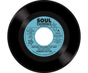 Various - I Watched You Slowly Slip Away / Living A Lie [VINYL]