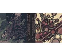 Various Artists - In The Twilight, These Rocks Have Teeth