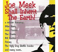 VARIOUS - Joe Meek Shall Inherit Earth