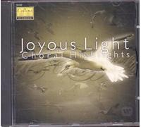 Various - Joyous Light