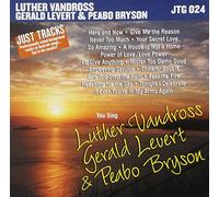 Various - Karaoke: Luther Vandross - Gerald Leve