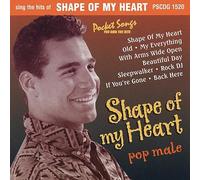 Various - Karaoke: Shape of My Heat