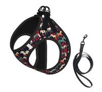 Various Kinds of Horses Print Step in Dog Harness and Leash Set,Adjustable Reflective Harness for Small Dogs Cats