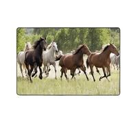 (Various Kinds of Horses) Printed Area Rugs for Living Room,Bedroom and Office Floor Mat 72"x48", Soft Non-Slip Modern Indoor Carpets.