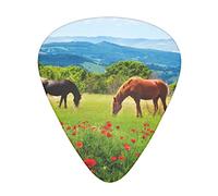 Various Kinds Of Horses Printed Guitar Picks 12 Pack Picks Sampler With Storage Box For Guitar Bass Ukulele 0.46mm