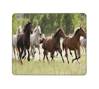 (Various Kinds of Horses) Printed Mousepad 7.9 x 9.5 in, Waterproof Non-Slip Mouse-Pad Rubber Base for Laptop Desktop Mat for Home Office Desk Decor