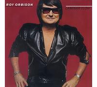 Various - Laminar Flow [180 gm LP Coloured Vinyl] [VINYL]