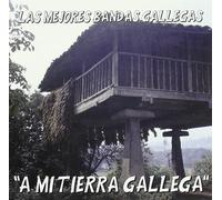 Various - Las Mejores Bandas Galegas Vol