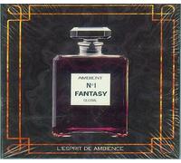 Various - L'esprit De Ambience