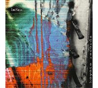 Various - Limitless - Koyote Records Collection