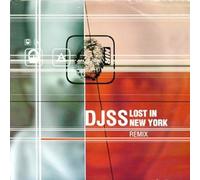 Various - Lost in New York Remix