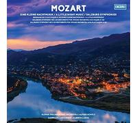 Various - Mozart - Eine Kleine Nachtmusik. Salzburg Symphonies [VINYL]