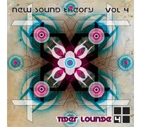 Various - New Sound Theory 4: Tiger Loun