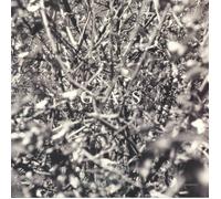Various - November 89 [VINYL]