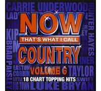 Various - Now That's What I Call Country Vol. 6