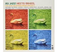 Various - Nu Jazz Meets Brazil [VINYL]