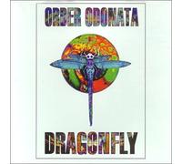 Various - Order Odonata Dragonfly