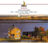 Various - Organ Bon Bons: Bach/Dvorak