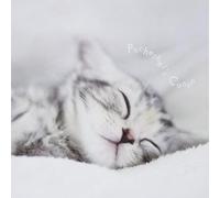 Various-Pachelbel's Canon-JAPAN CD