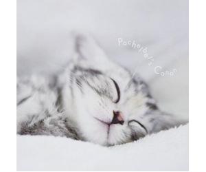 Various-Pachelbel's Canon-JAPAN CD