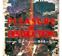 Various - Pleasure of Destruction