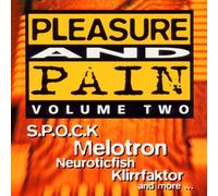 Various - ++Pleasure & Pain Vol.2