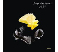 Various - Pop Ambient 2024 [VINYL]