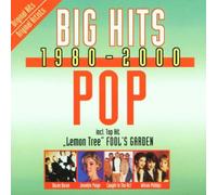 Various - Pop Big Hits 1980-2000