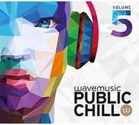 Various - Public Chill Vol.5