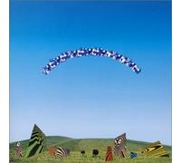 Various - Pure Traditional Ambient I-S