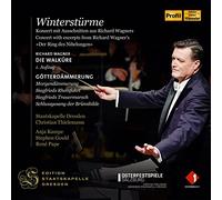 Various - Richard Wagner: Winterstürme