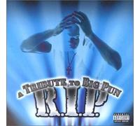 Various - Rip: Tribute to Big Pun