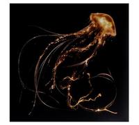 Various - Royal Blood Back To The Water Below (Vinyl LP 12") Clear [NEW] [VINYL]