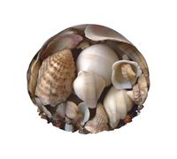 Various shells Printed Double-Layer Waterproof Shower Cap - Reusable Spa & Face Mask Bathing Hat for Travel, Home Care & Beauty Routine