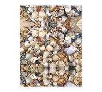 Various Shells Printing Stylish Crystal Stickers,Resin Aesthetic Stickers for Laptop,Skateboard,Water Bottle,Scrapbook