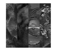 Various - Siamese Anthology I (12'' Incl.4 Art Prints) [Vinyl Maxi-Single] [VINYL]