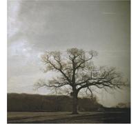 Various - Silence Was Warm Vol. 2 [Import]