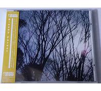 Various - Sleepy Forest