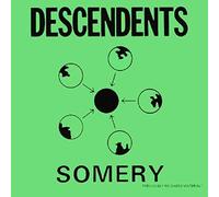 Various - Somery [VINYL]