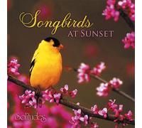 Various - Songbirds At Sunset